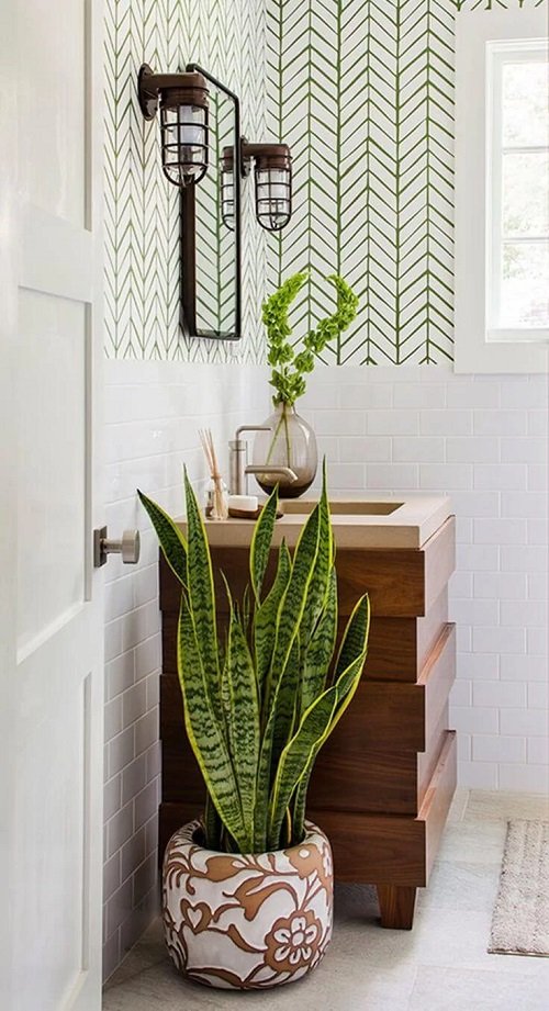 Trendy Snake Plant Arrangements ideas 2