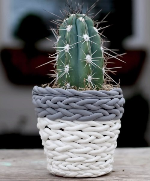 These Mini Succulents in clay basket