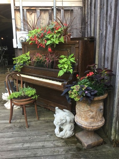 Vintage Items Repurposed as Plant Shelves 5