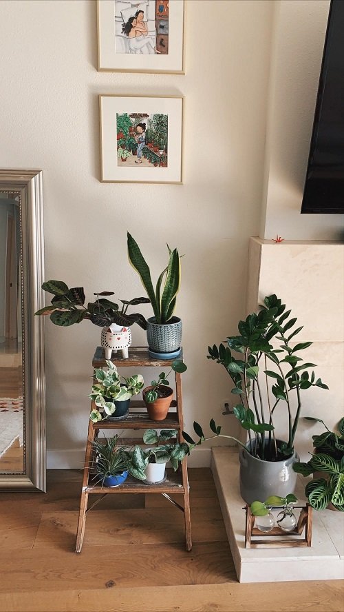 Vintage Items Repurposed as Plant Shelves 11